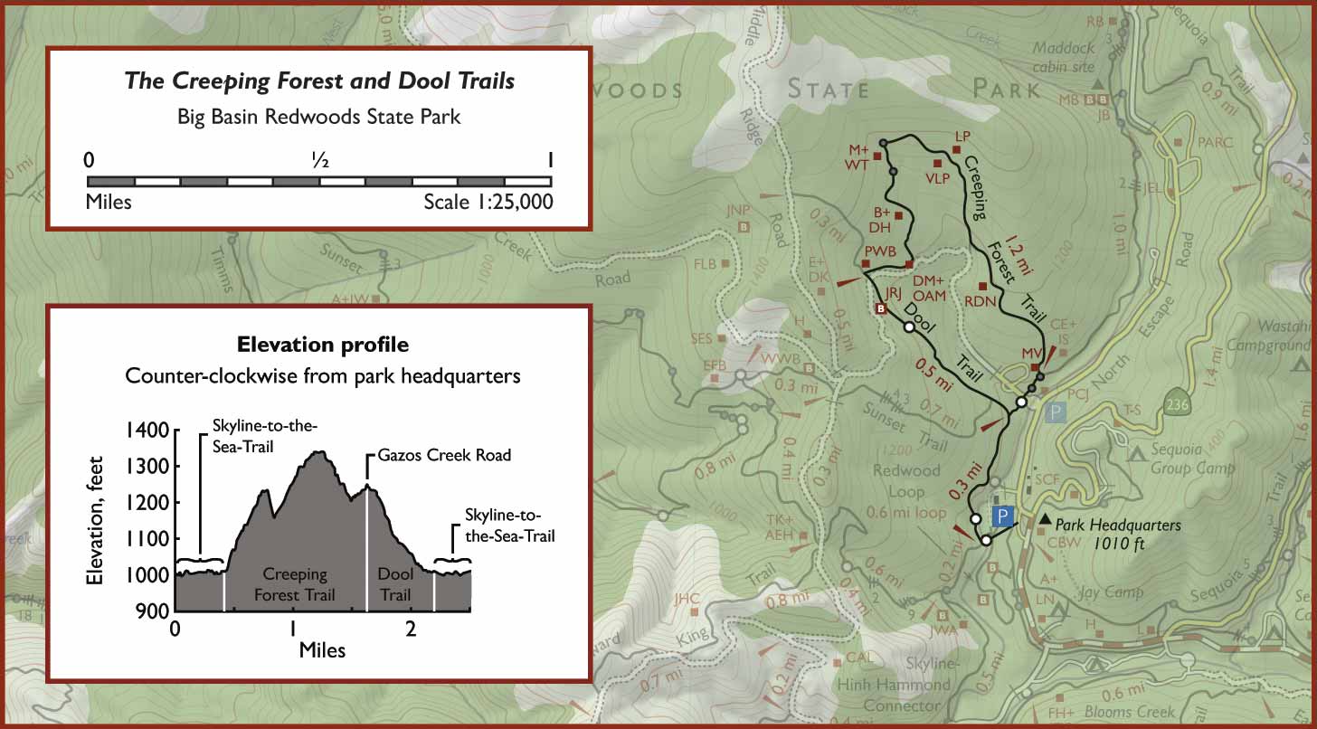 Map of the Creeping Forest and Dool Trails, Big Basin Redwoods State Park