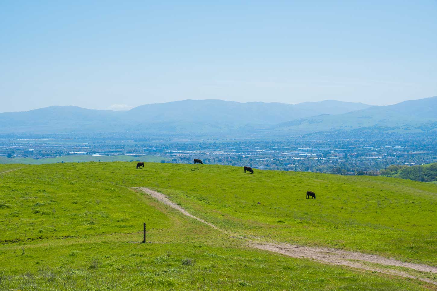 Bishop Ranch Regional Open Space Preserve