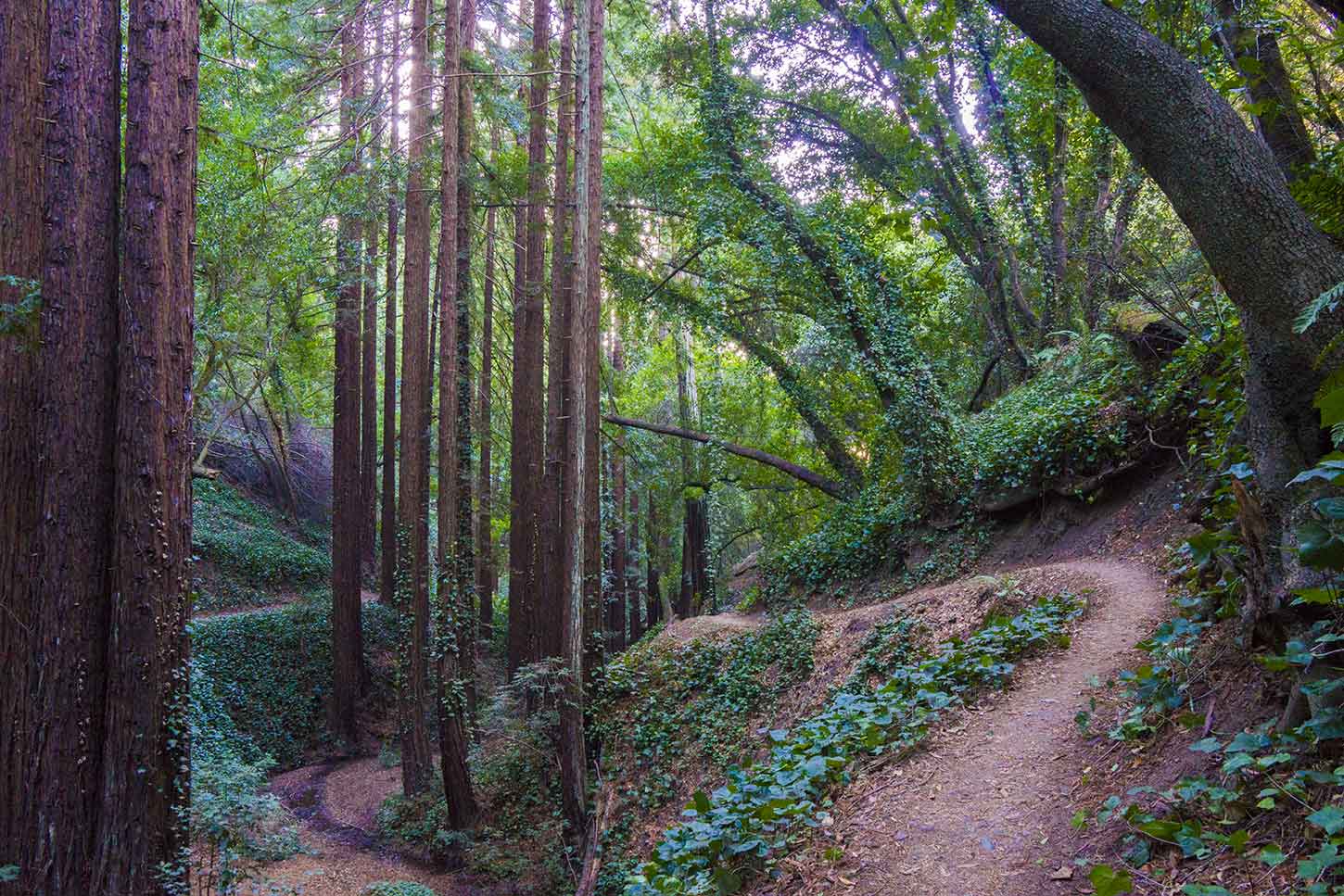 joaquin miller park mountain biking