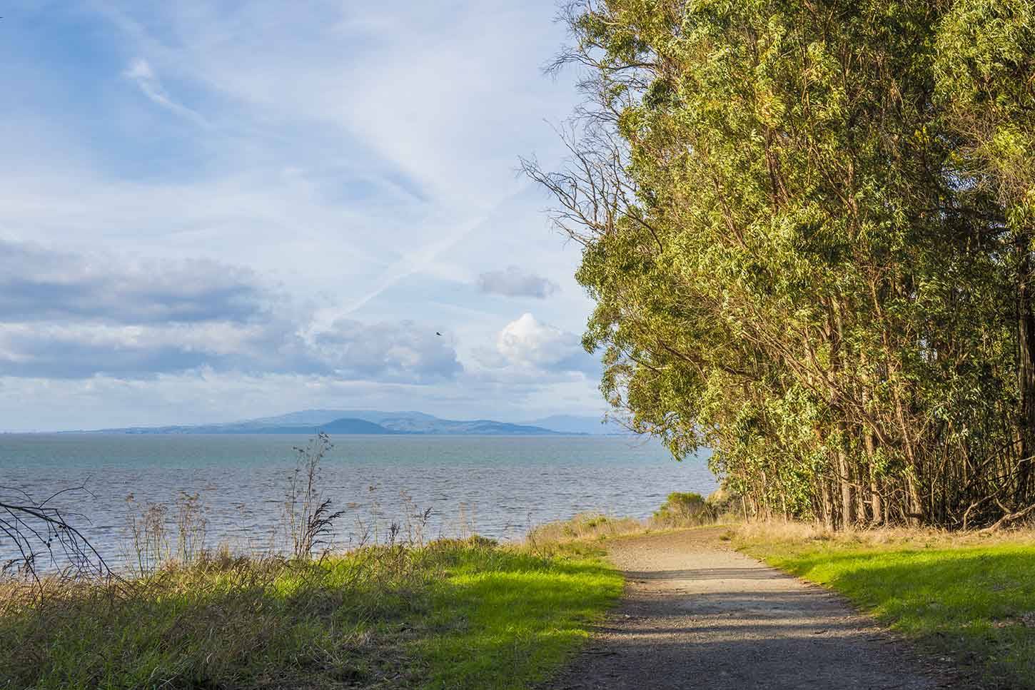 are dogs allowed at point pinole ca