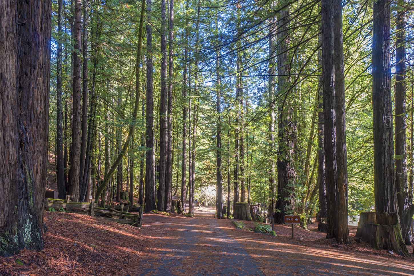 Albee Creek Campground