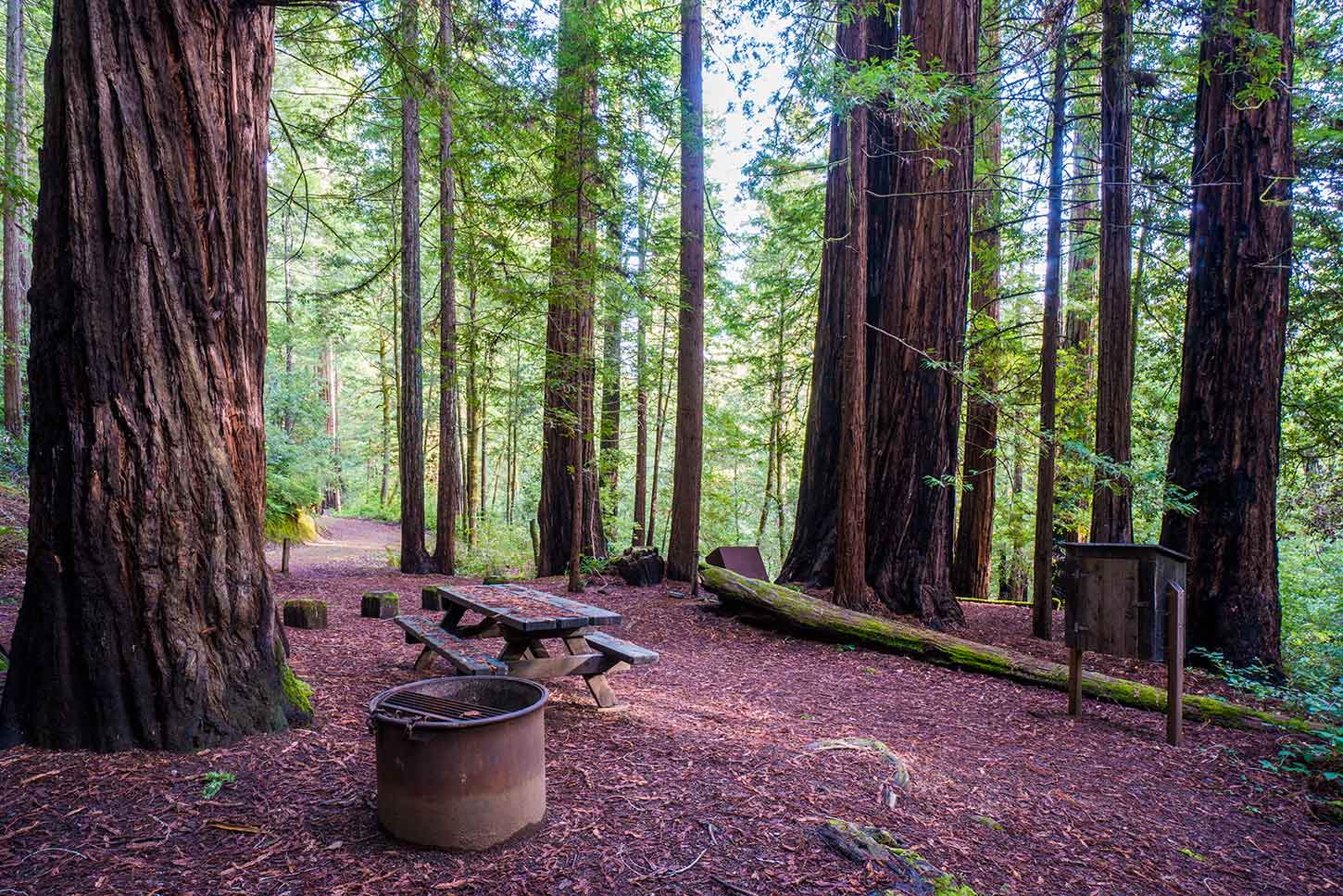 Humboldt Spring: Oregon’s Hidden Gem Campground