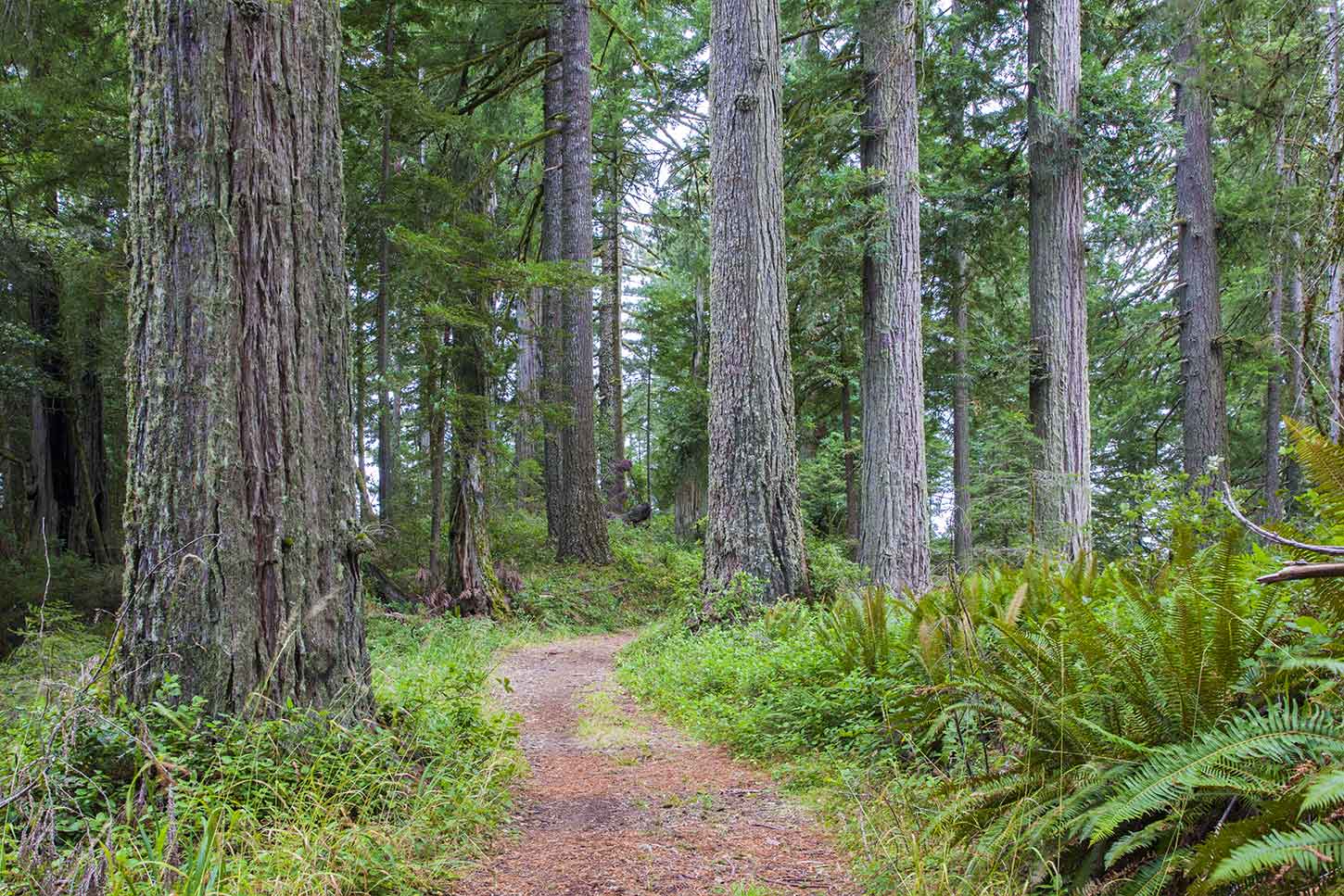 Albee Creek Campground