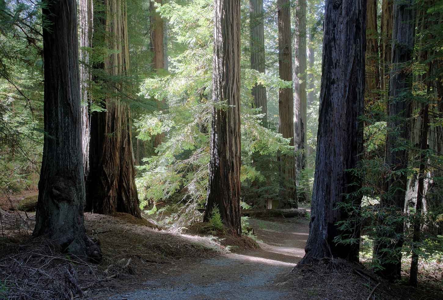 Albee Creek Campground