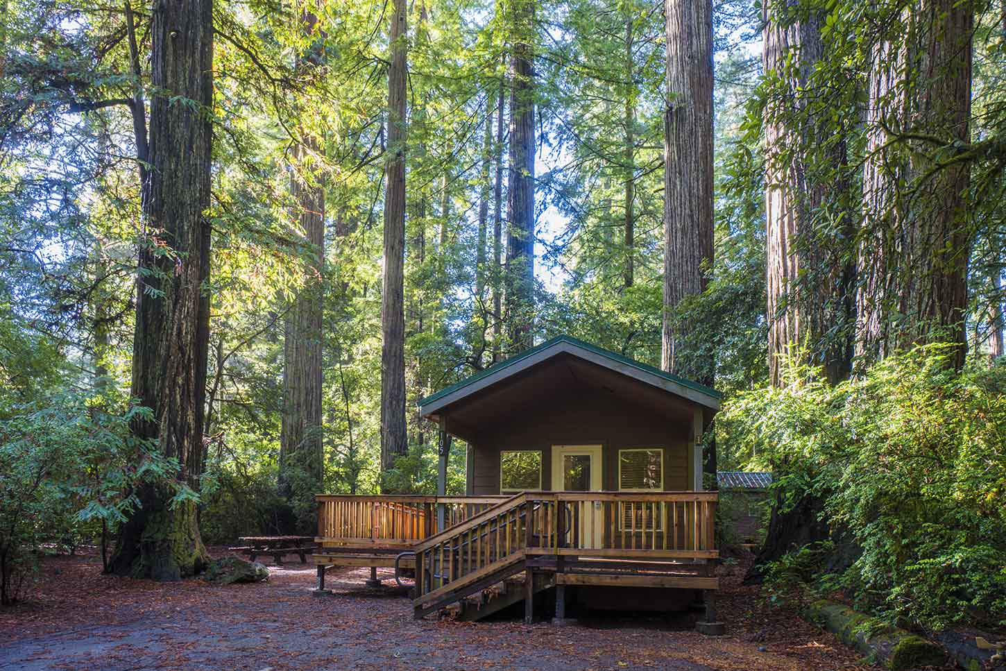 Jedediah Smith Redwoods State Park