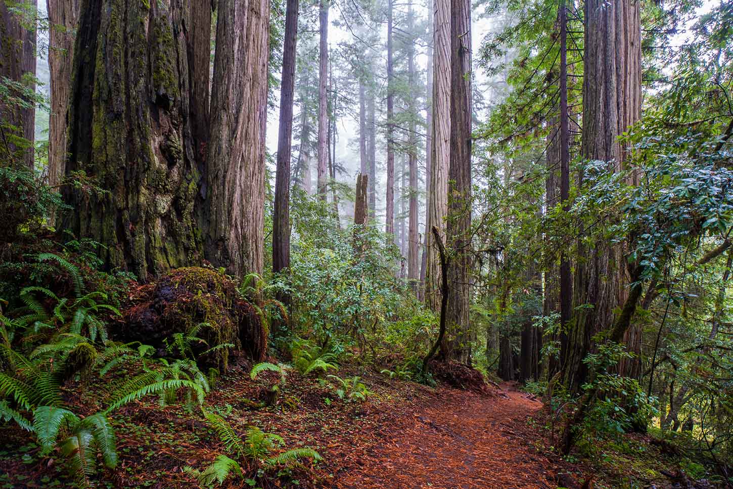 mill creek mtb trails