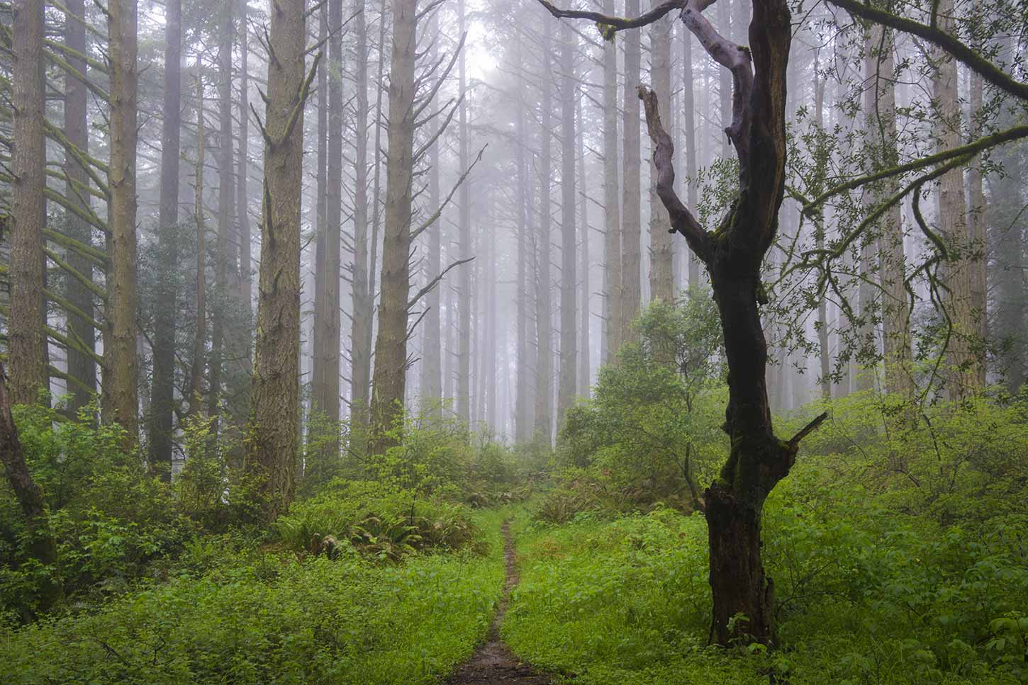 best hikes point reyes