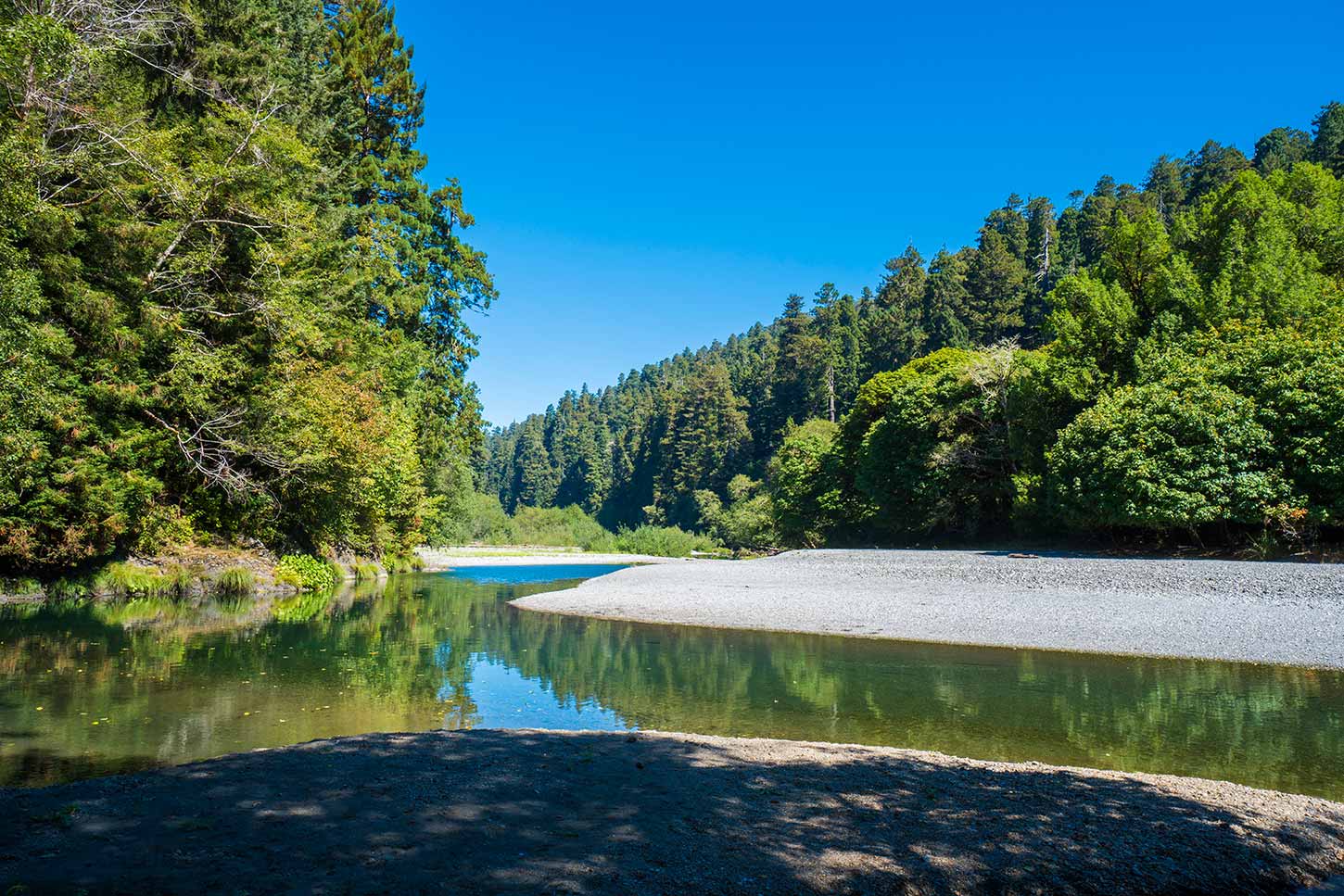 Redwood Creek Dispersed Camping