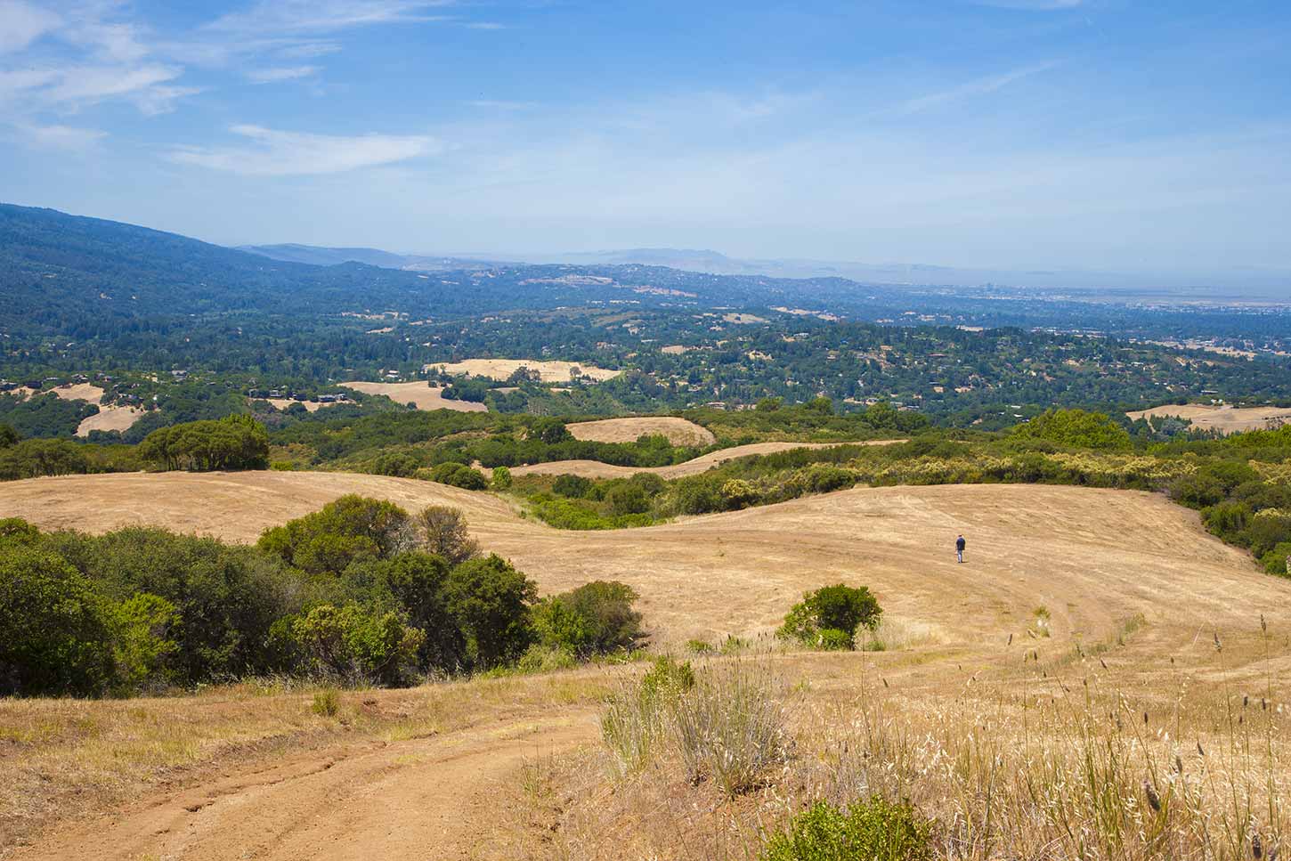 Foothills Park