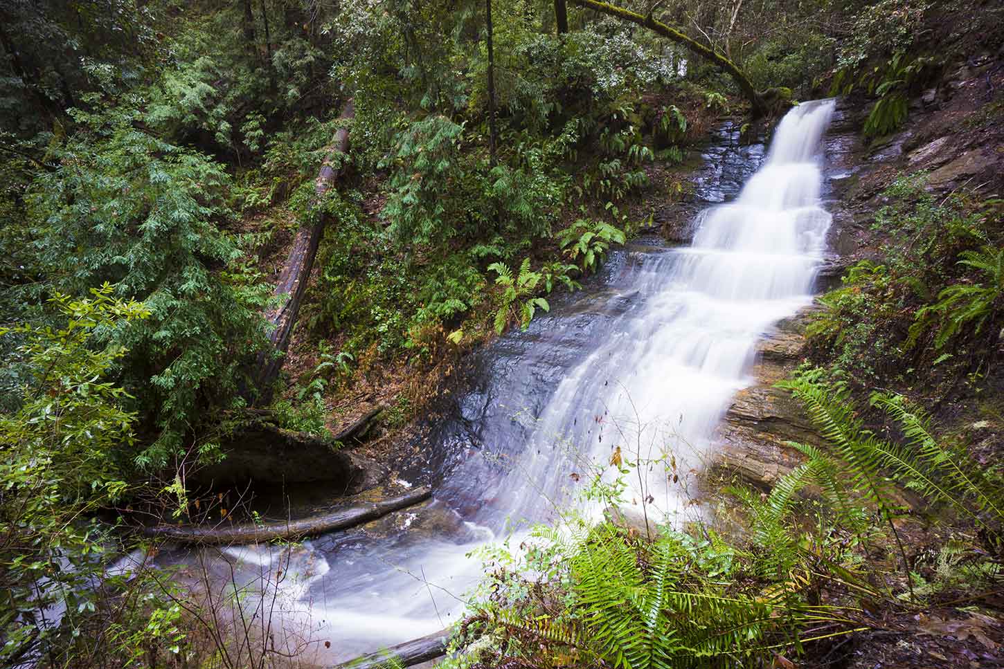 The Berry Creek Loop