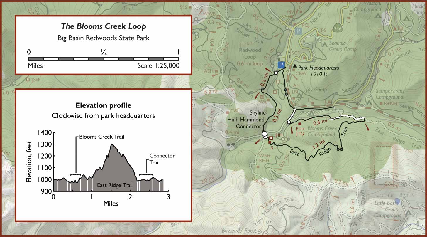 Map of the Blooms Creek loop, Big Basin Redwoods State Park