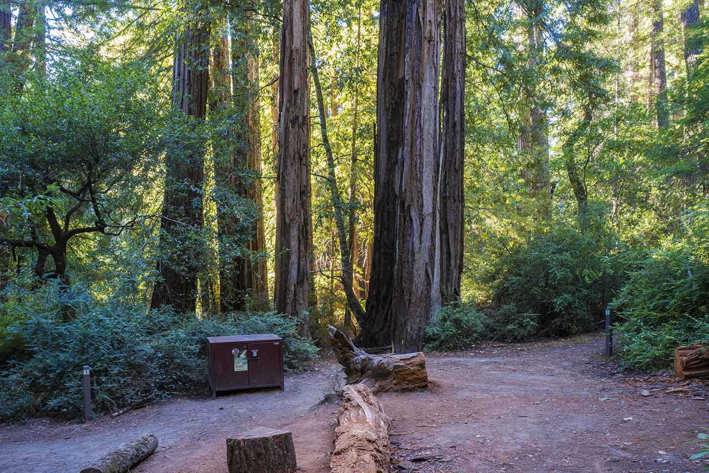 Big basin 2025 trail camps