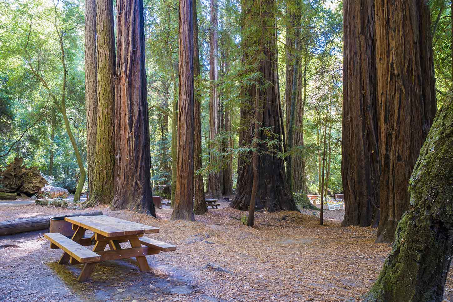 Sempervirens Campground