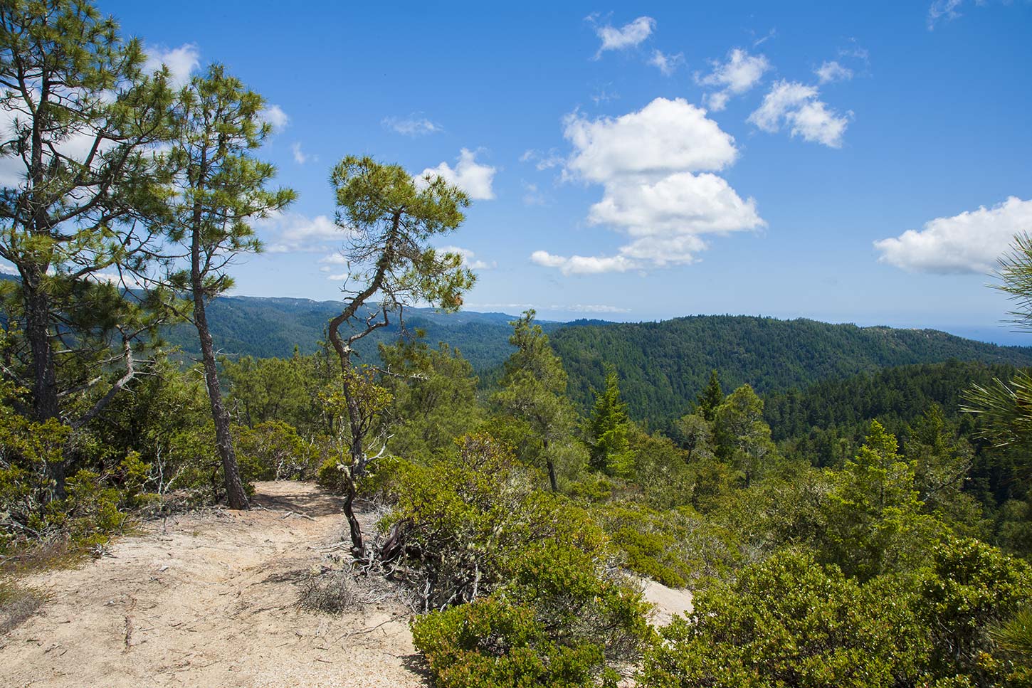 The Westridge Trail