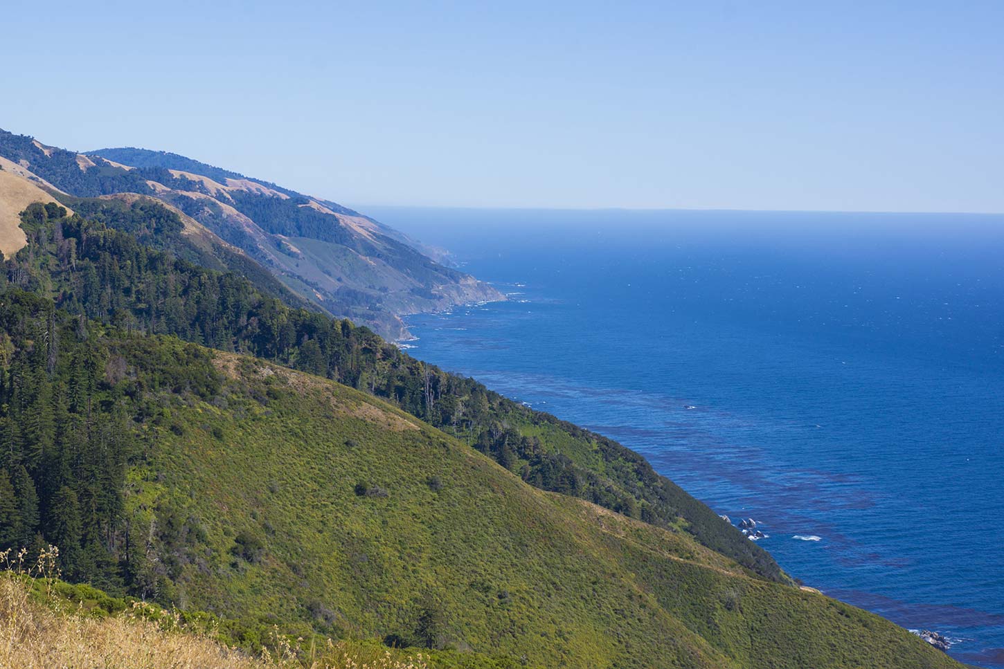 View from the top of the Ewoldsen Trail in Julia Pfeiffer Burns State Park, Big Sur