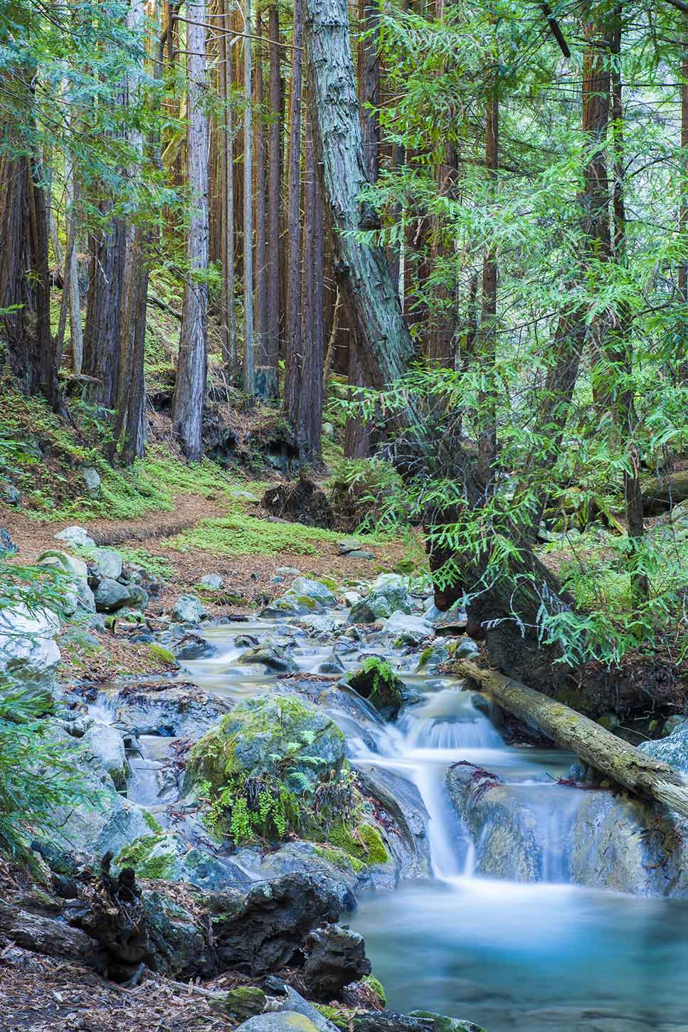 limekiln state park campground