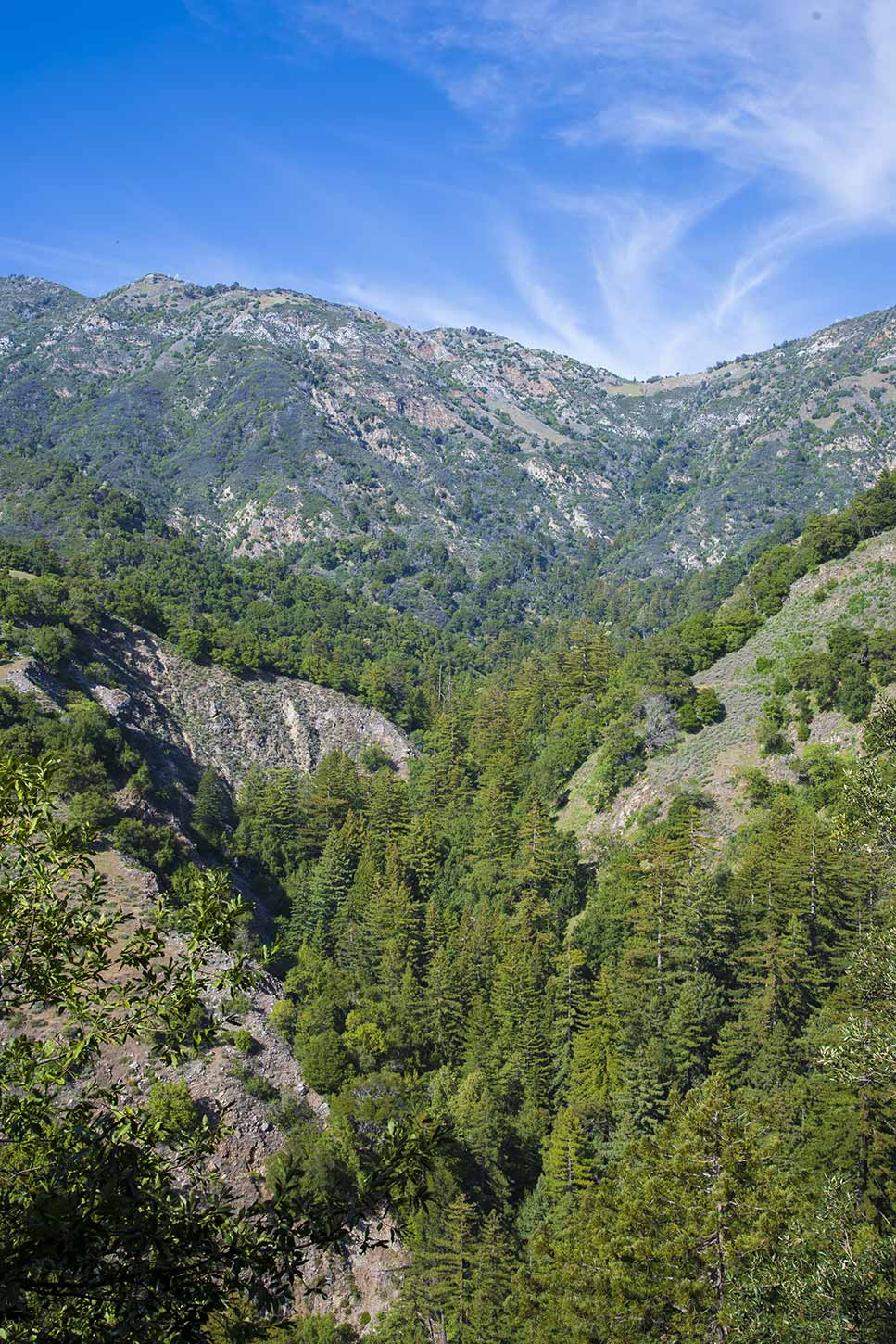 Hare Canyon and Vicente Flat seen from the Kirk Creek Trail in Los Padres National Forest, Big Sur