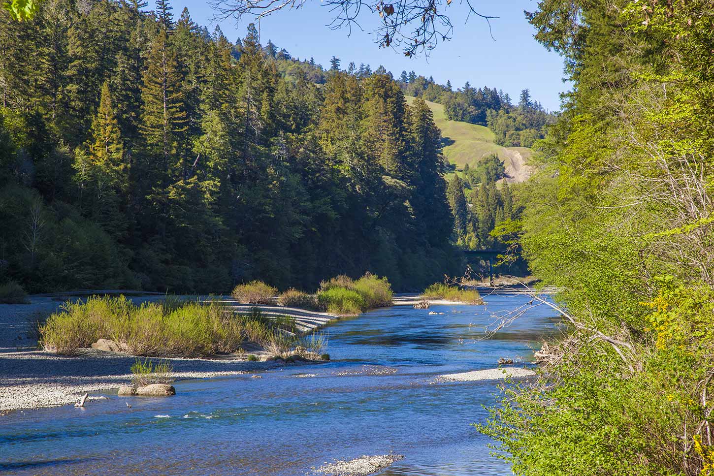 John B. Dewitt Redwoods State Natural Reserve