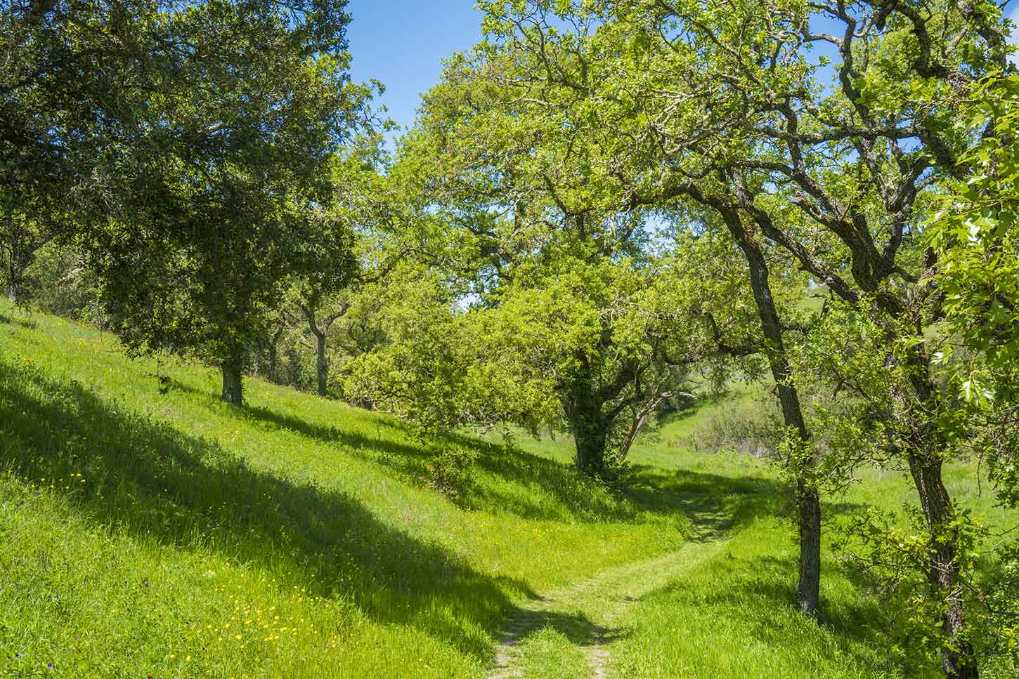 Bishop Ranch Open Space Regional Preserve