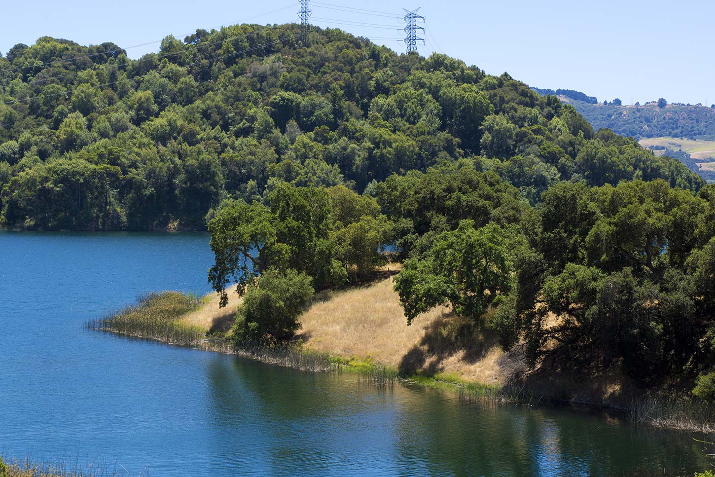 Briones Reservoir from the Oursan Trail