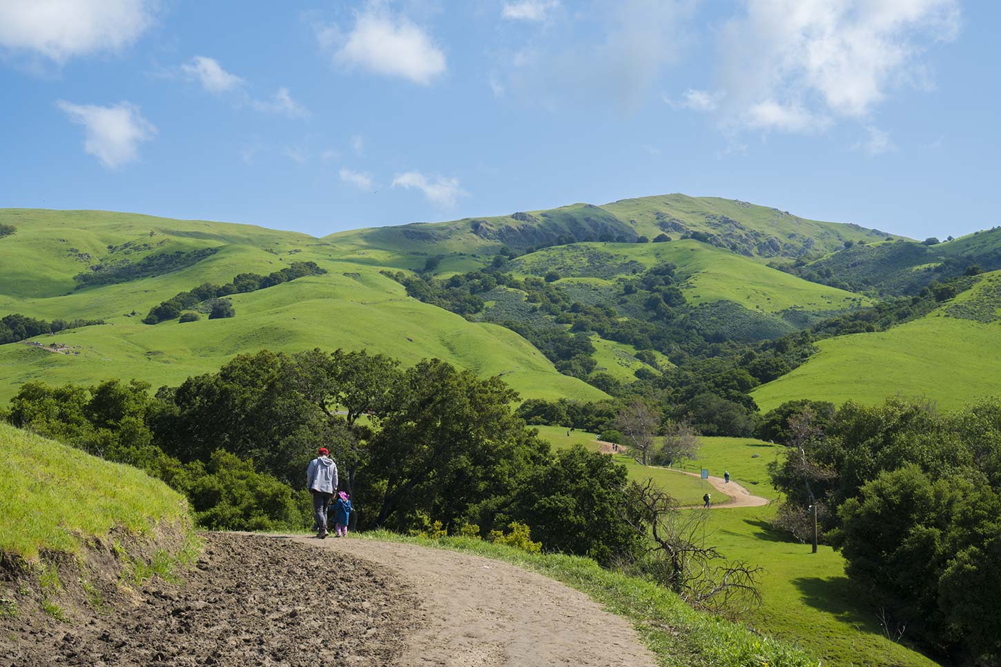 View from the bottom of the Hidden Valley Trail, Mission Peak Regional Preserve