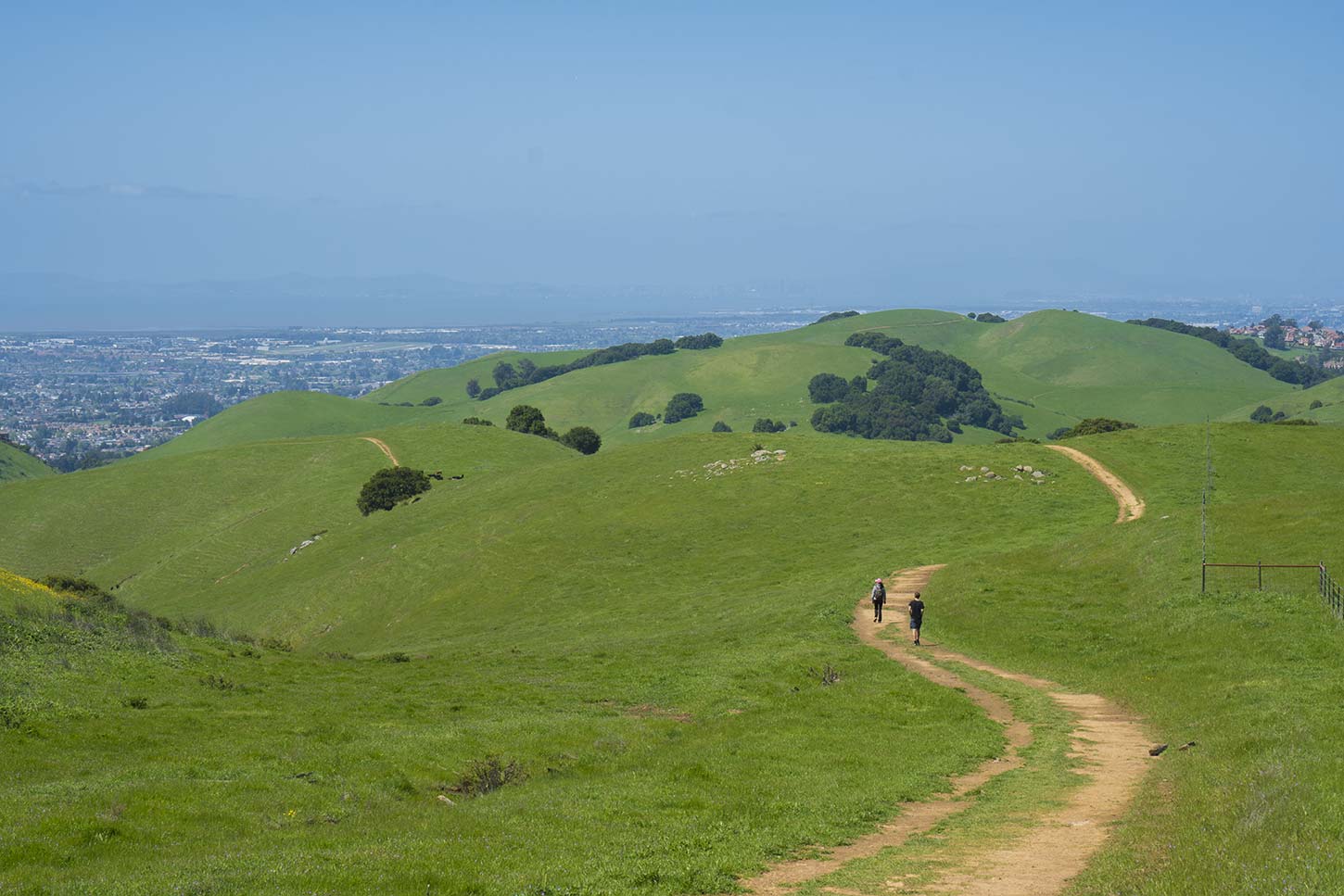 The High Ridge Loop Trail