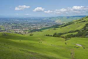 MISSION PEAK REGIONAL PRESERVE - 5069 Photos & 1790 Reviews