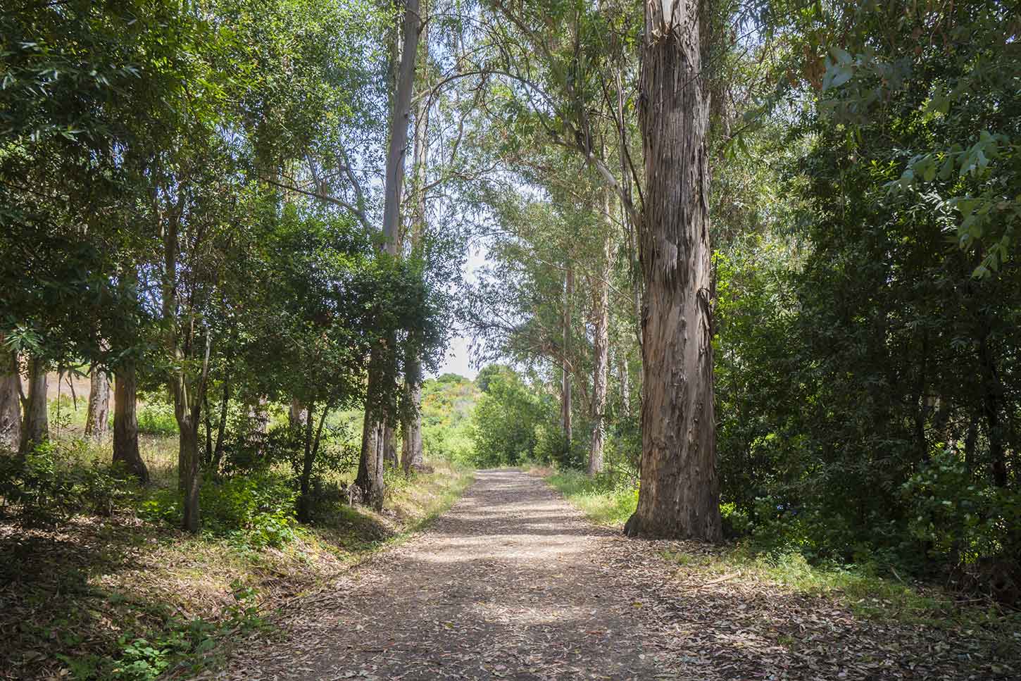 Kennedy Grove Regional Recreation Area