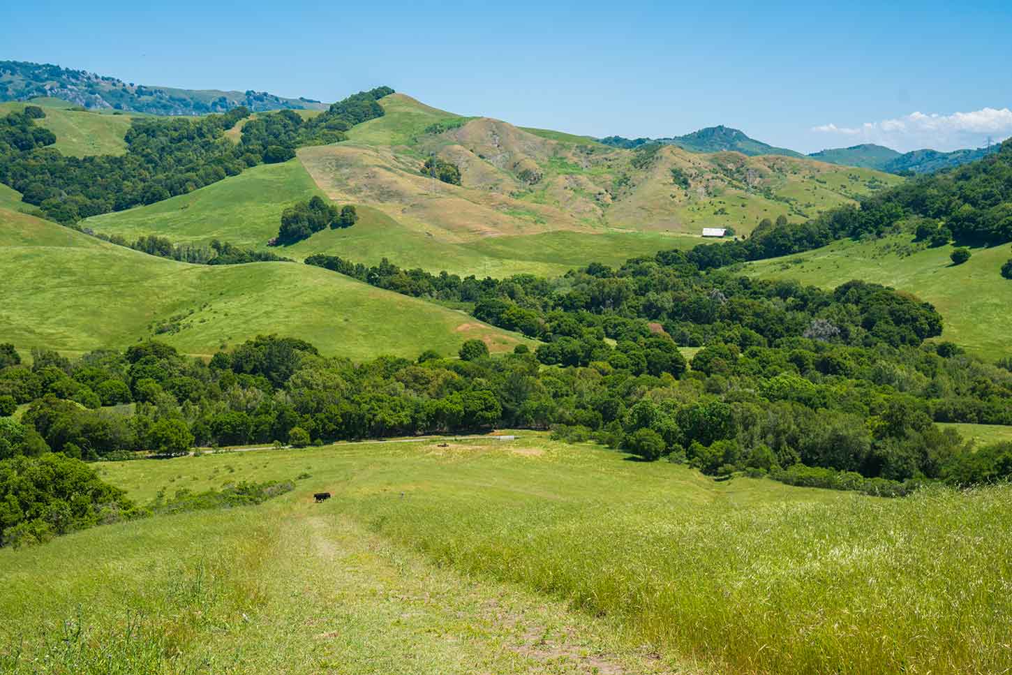 Kings canyon loop outlet trail