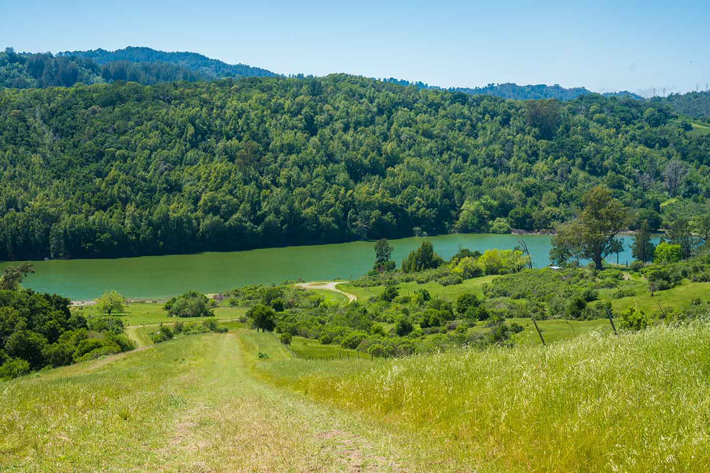 Kings canyon shop loop trail