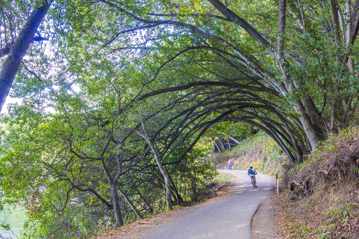 Lake chabot bike trail online