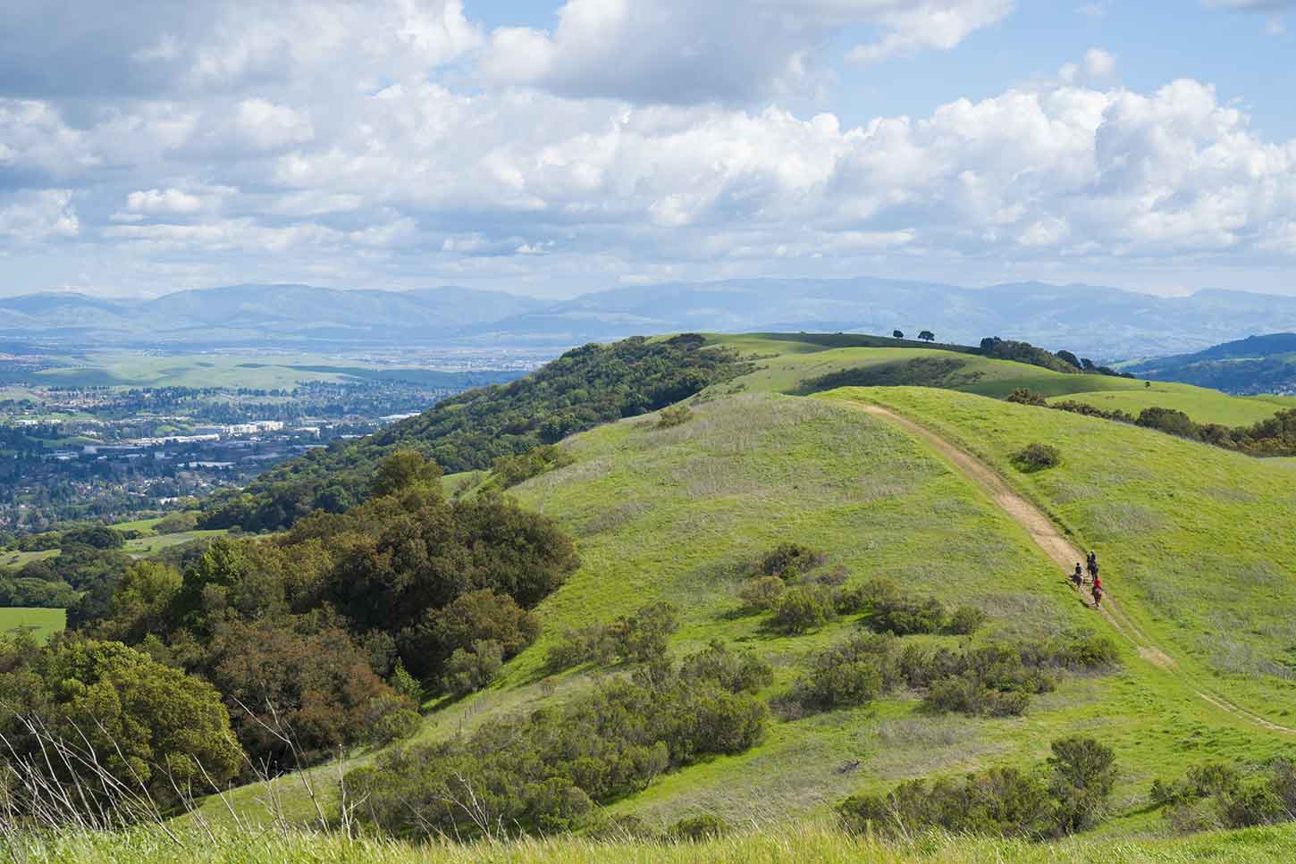 Las Trampas Ridge