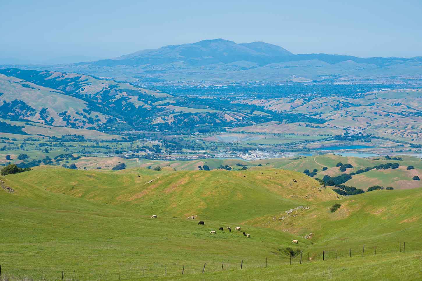 View of Mount Diablo from the Eagle Trail, Mission Peak Regional Preserve