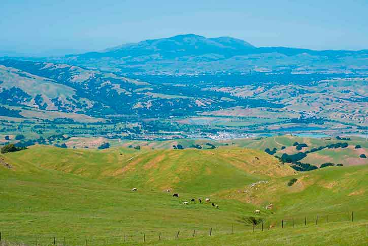 View of Mount Diablo from the Eagle Trail, Mission Peak Regional Preserve