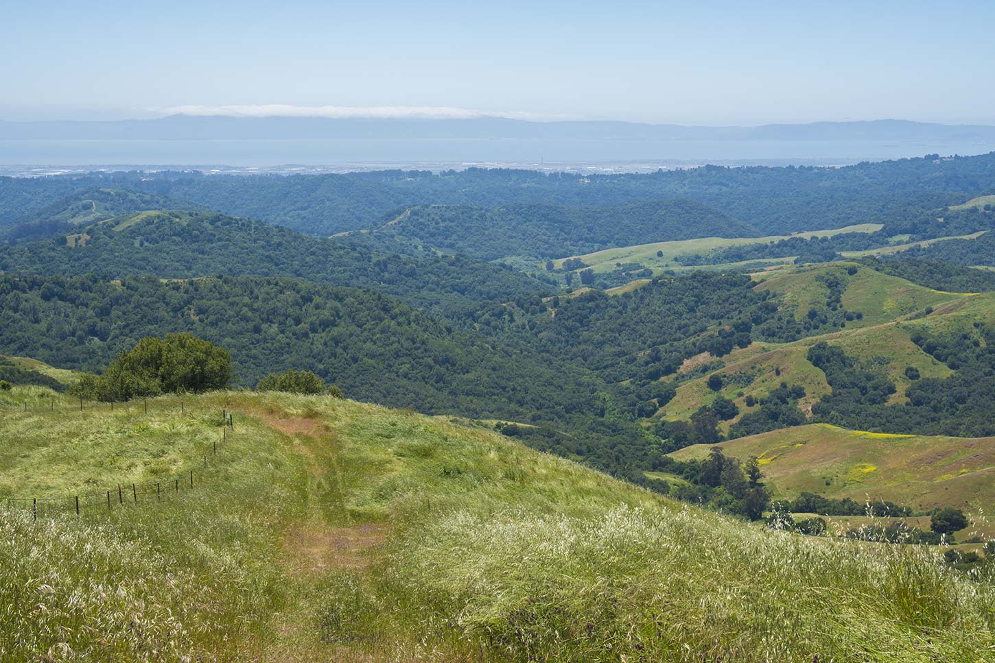 The Rocky Ridge Loop Trail