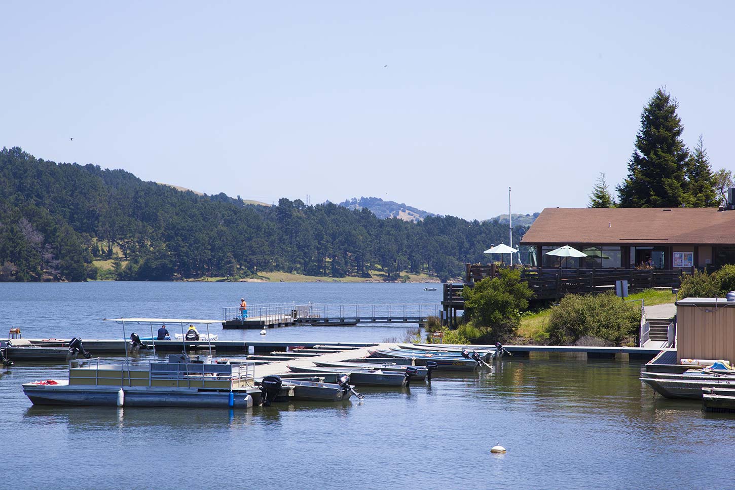 Bank Fishing at San Pablo Reservoir