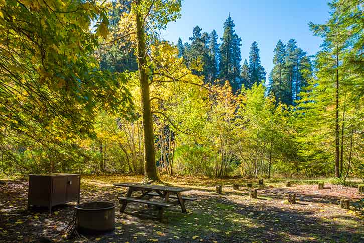 Grizzly hotsell creek campground