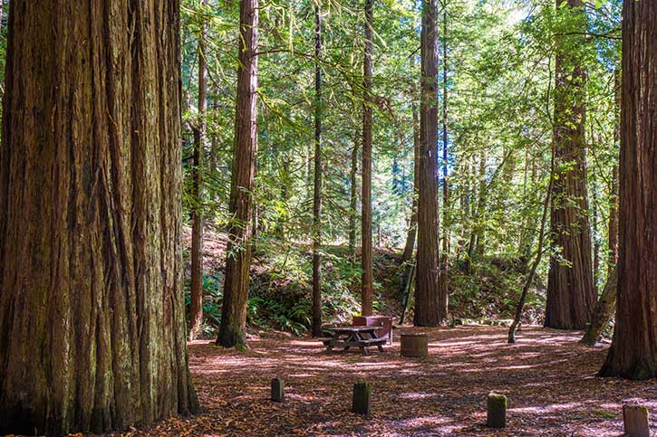 Grizzly shop creek campground