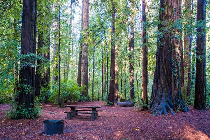 Jedediah Smith Campground