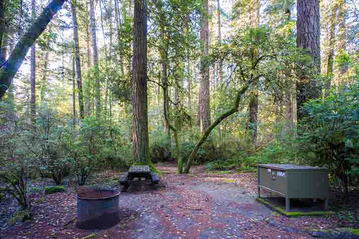 Jedediah Smith Redwoods State Park Campground 10 Proartinc Hike In