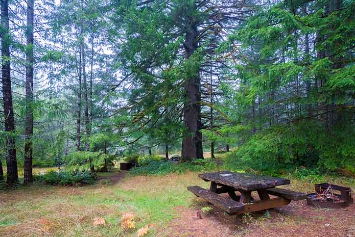 Little Bald Hills Backcountry Camp