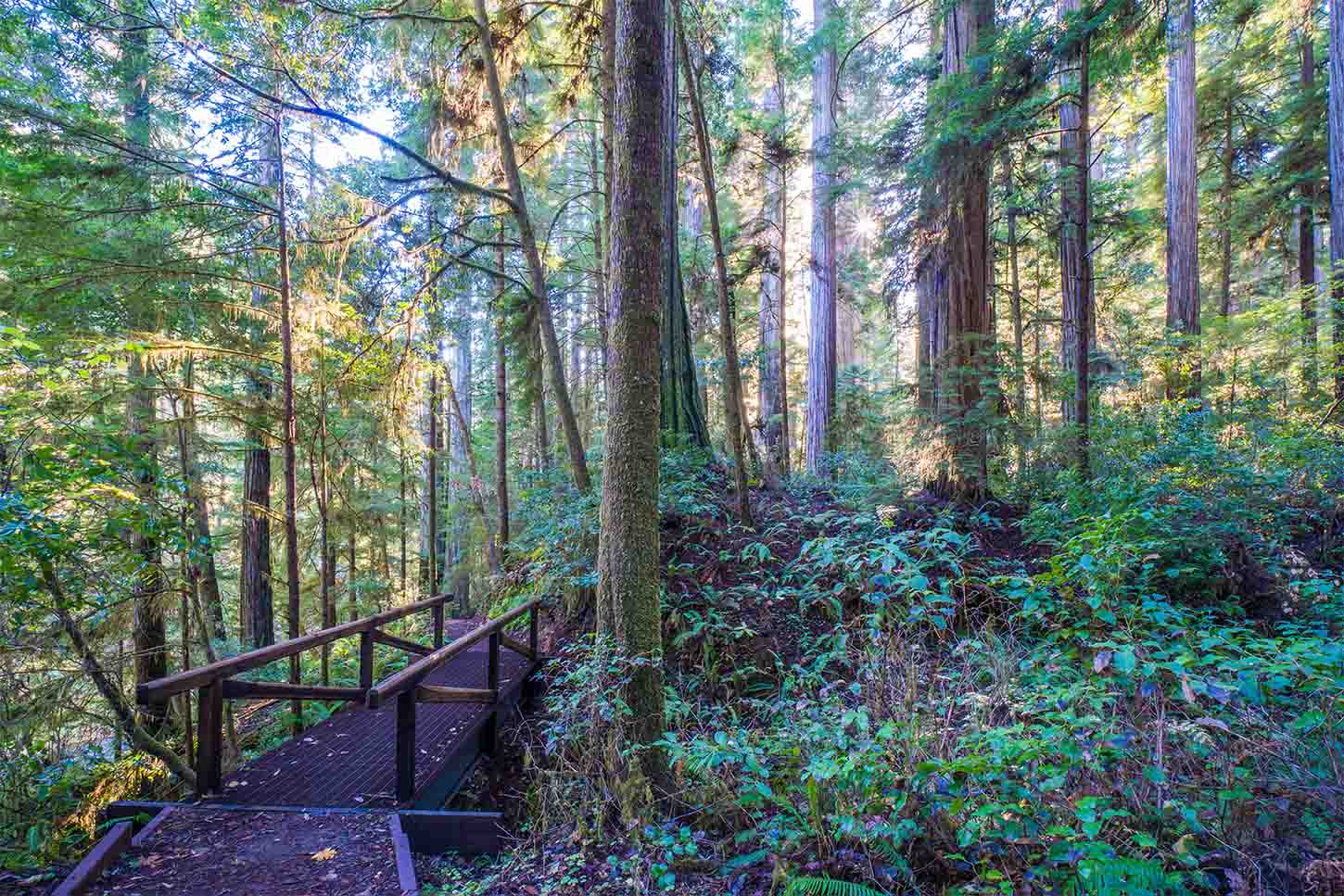 mill creek park bike trail