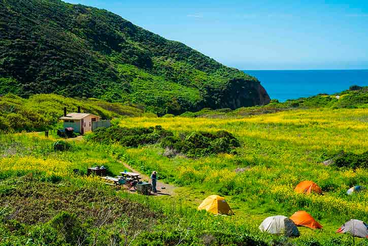 Point reyes hotsell hike in camping