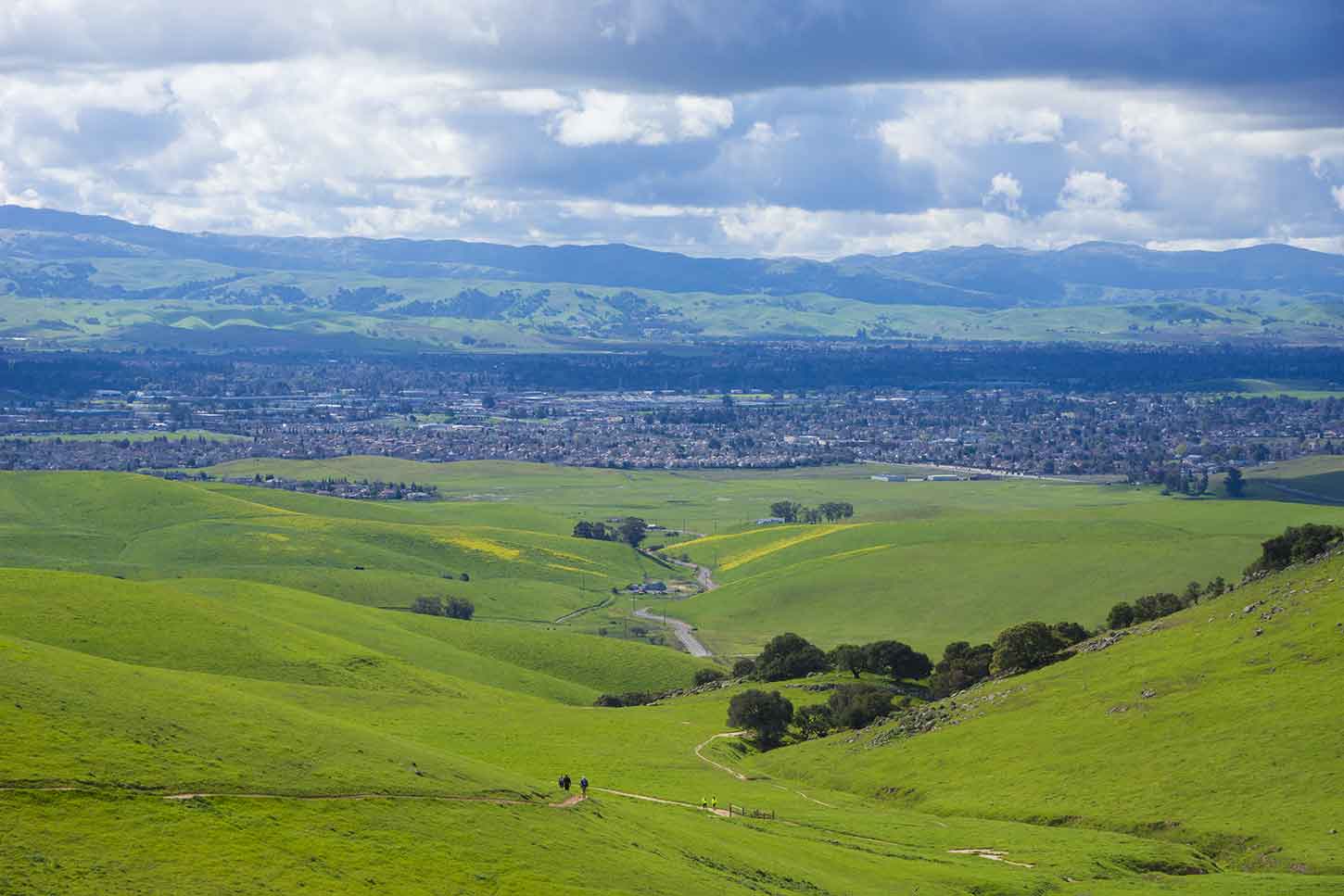 Brushy Peak Regional Preserve