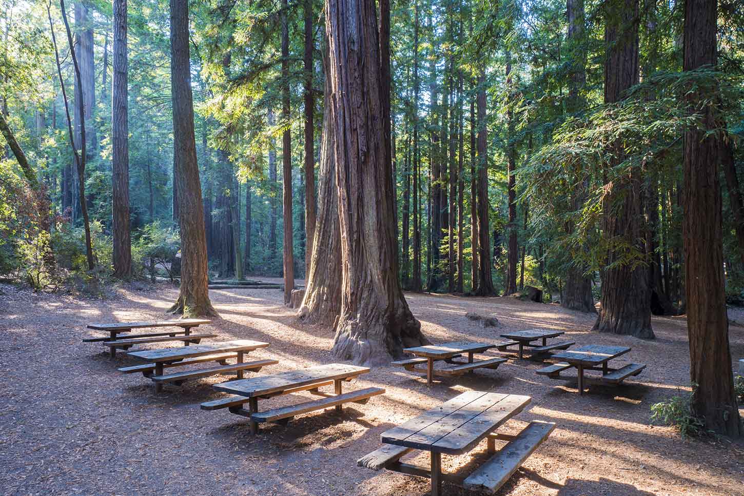 Memorial County Park Campground