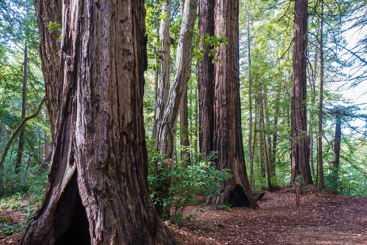 the-slate-creek-trail