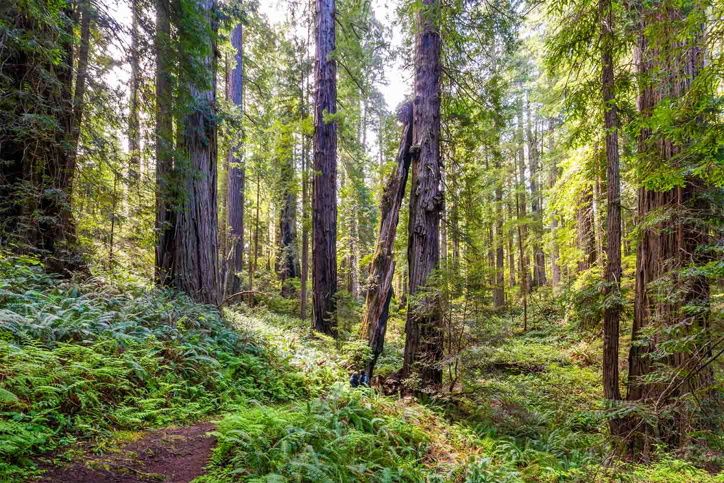 The Ah Pah Interpretive Trail