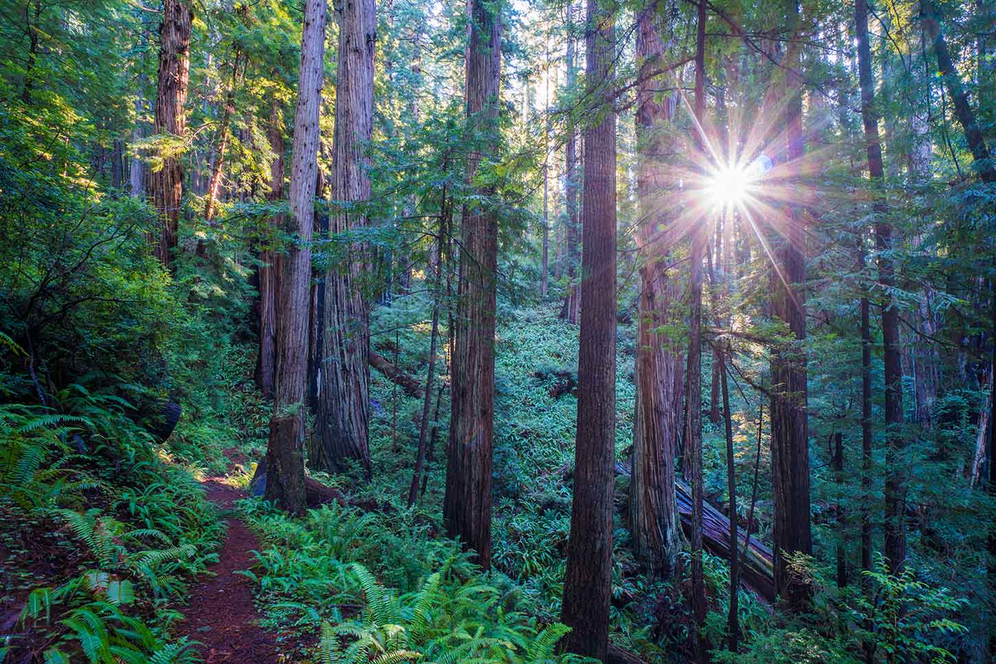 The Brown Creek Loop