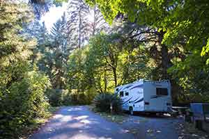 Prairie Creek Redwoods State Park