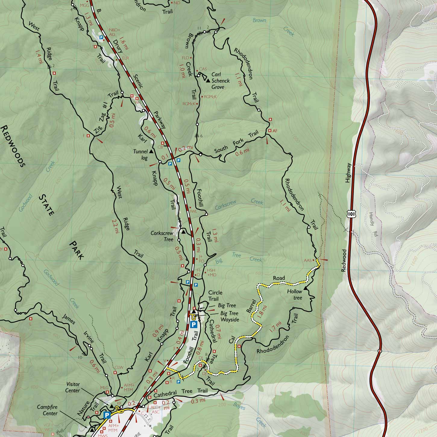 The Rhododendron and Foothill Loop